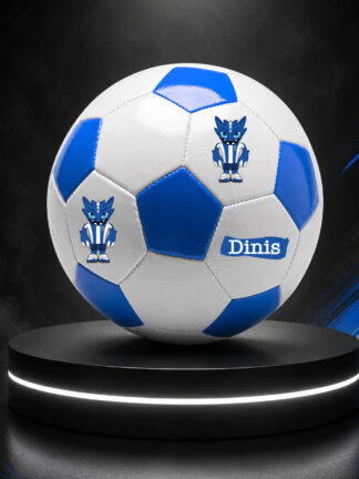 Bola Draco